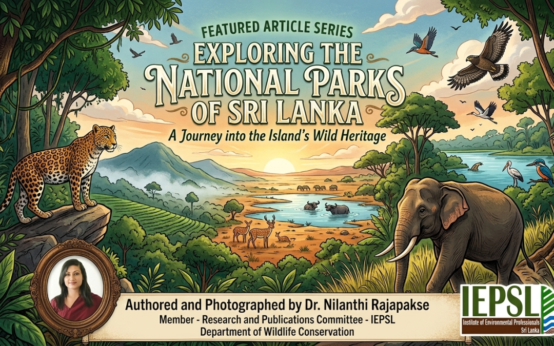 Featured Article Series: Exploring the National Parks of Sri Lanka – A Journey into the Island’s Wild Heritage