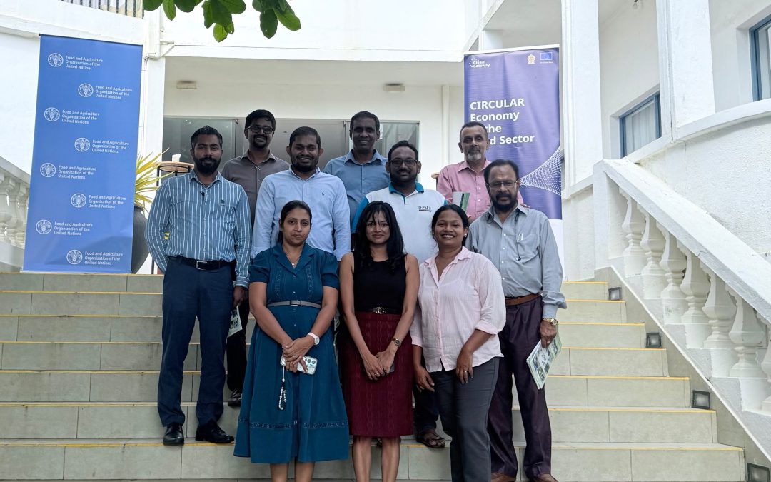 IEPSL Representation